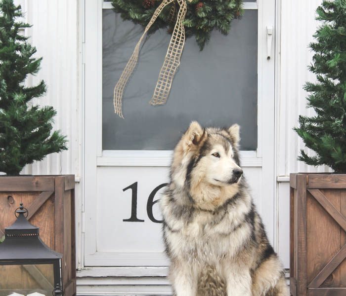 Take a tour of this Indiana farmhouse all dressed up for the holidays! See more photos at LoveGrowsWild.com