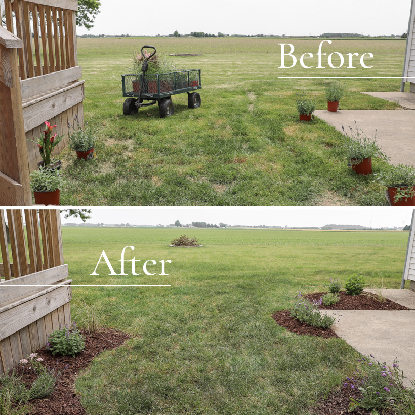 Creating a new flower bed