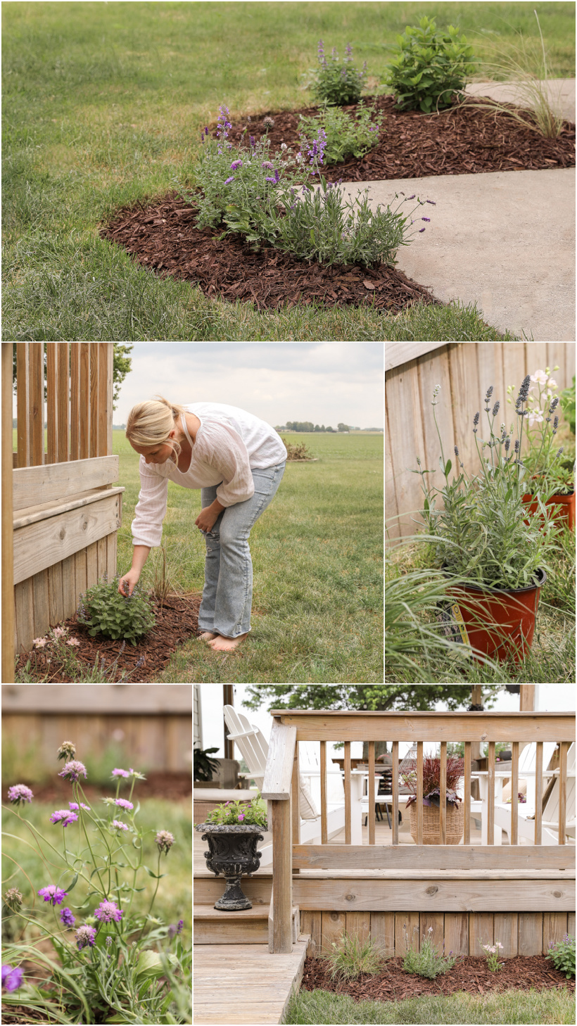 Creating a new flower bed