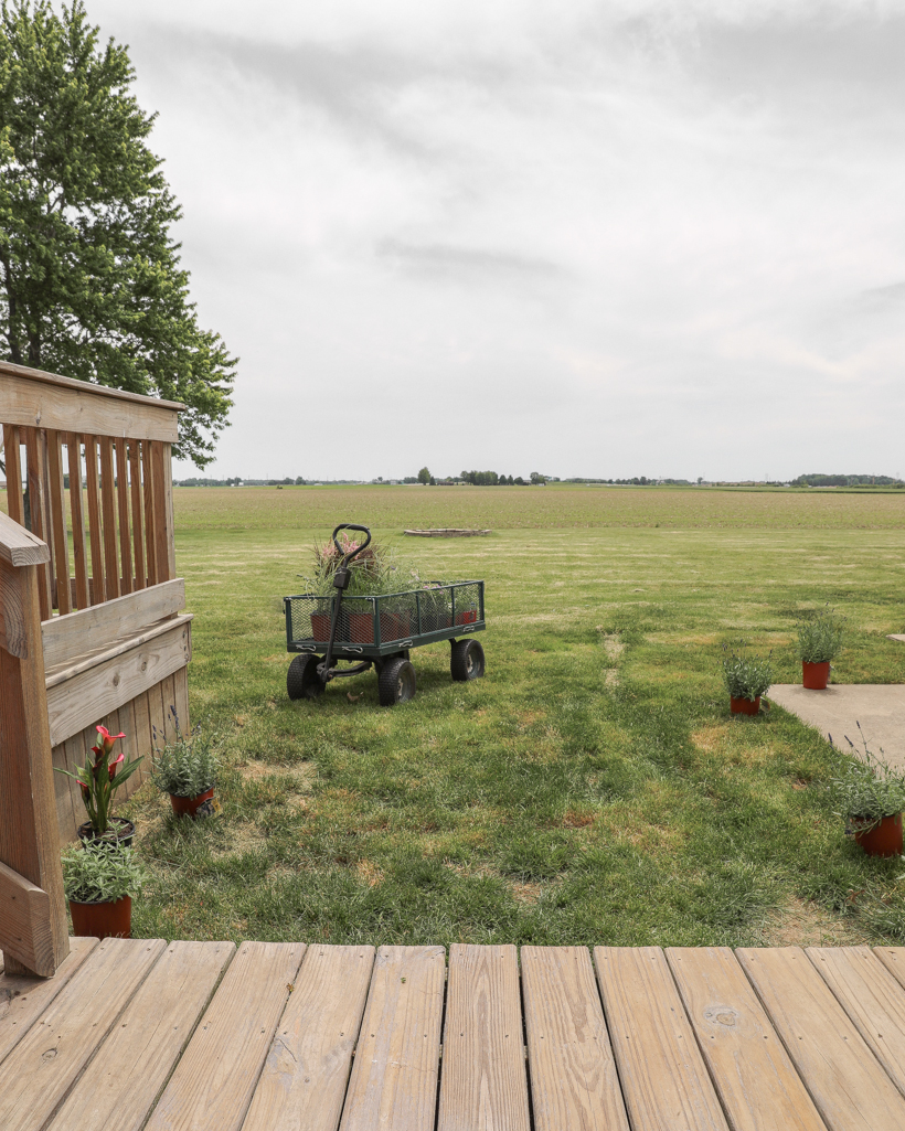 Creating a new flower bed