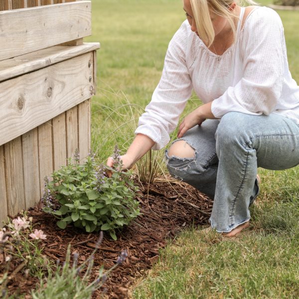 Creating a new flower bed