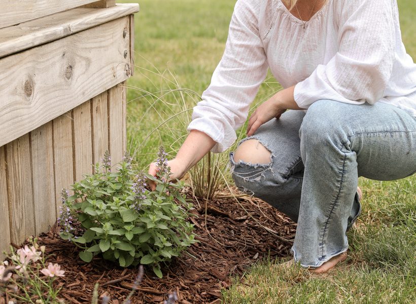 Creating a new flower bed