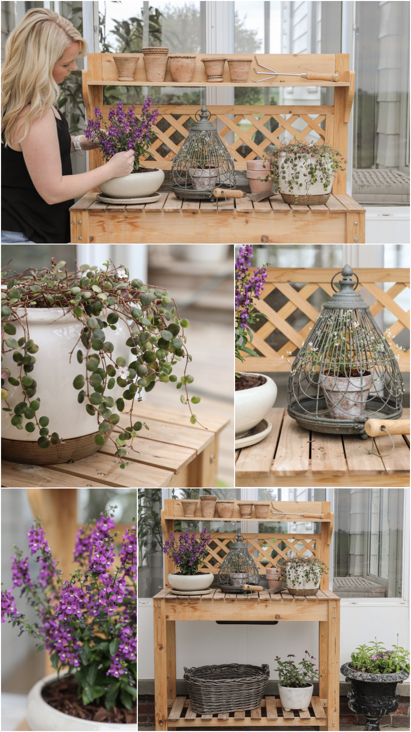 Styled potting bench with plants