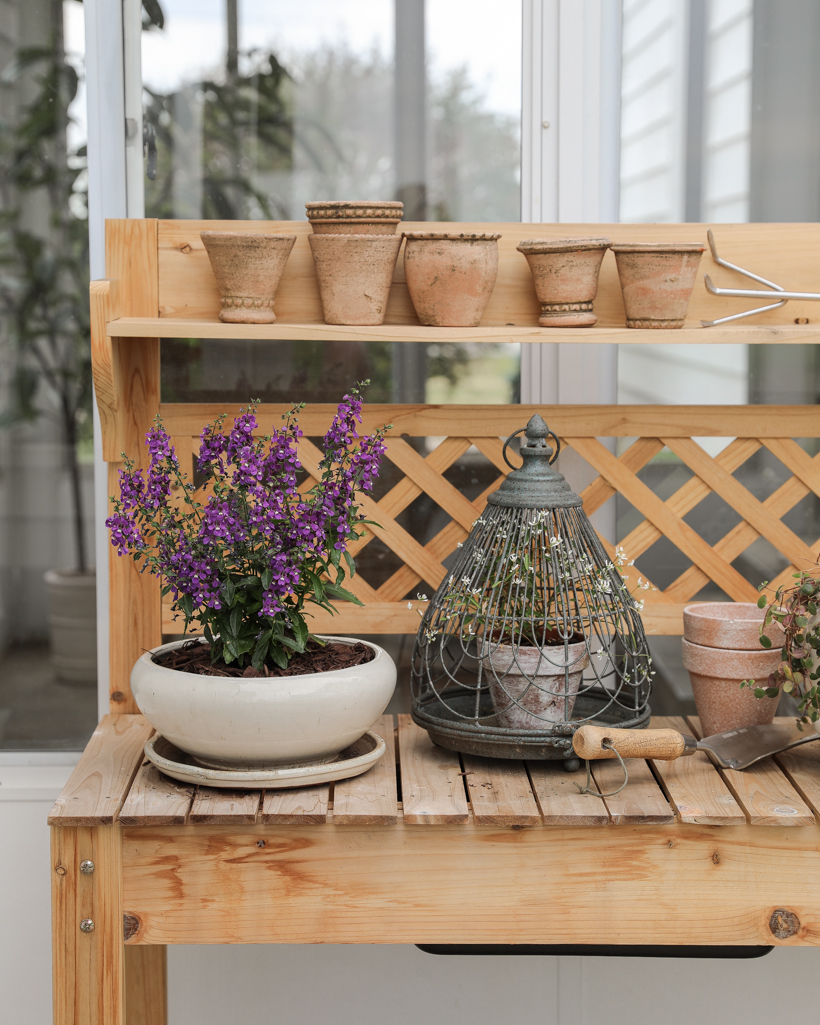 Styled potting bench with plants