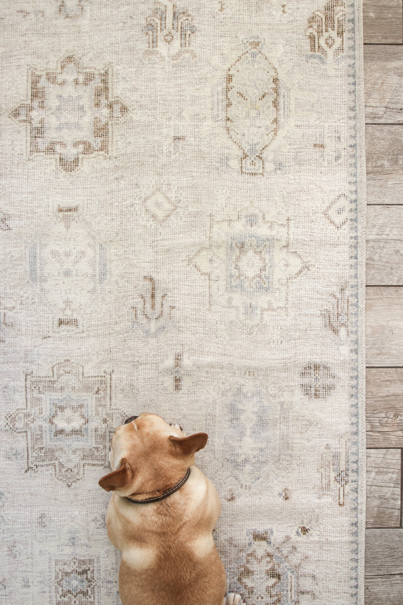 WASHABLE rugs! Home blogger and interior decorator Liz Fourez tests out a washable rug in her kitchen.